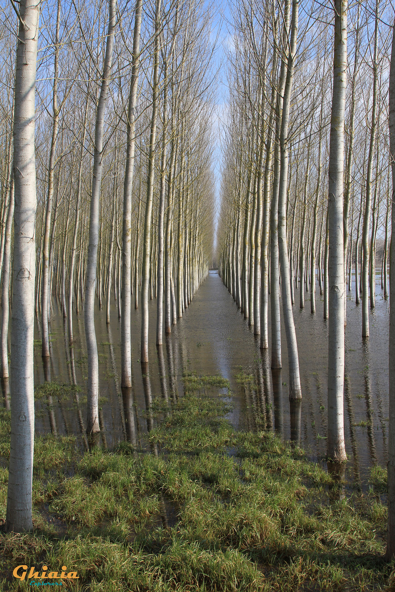 Waterlands Trail - gallery - photo 13