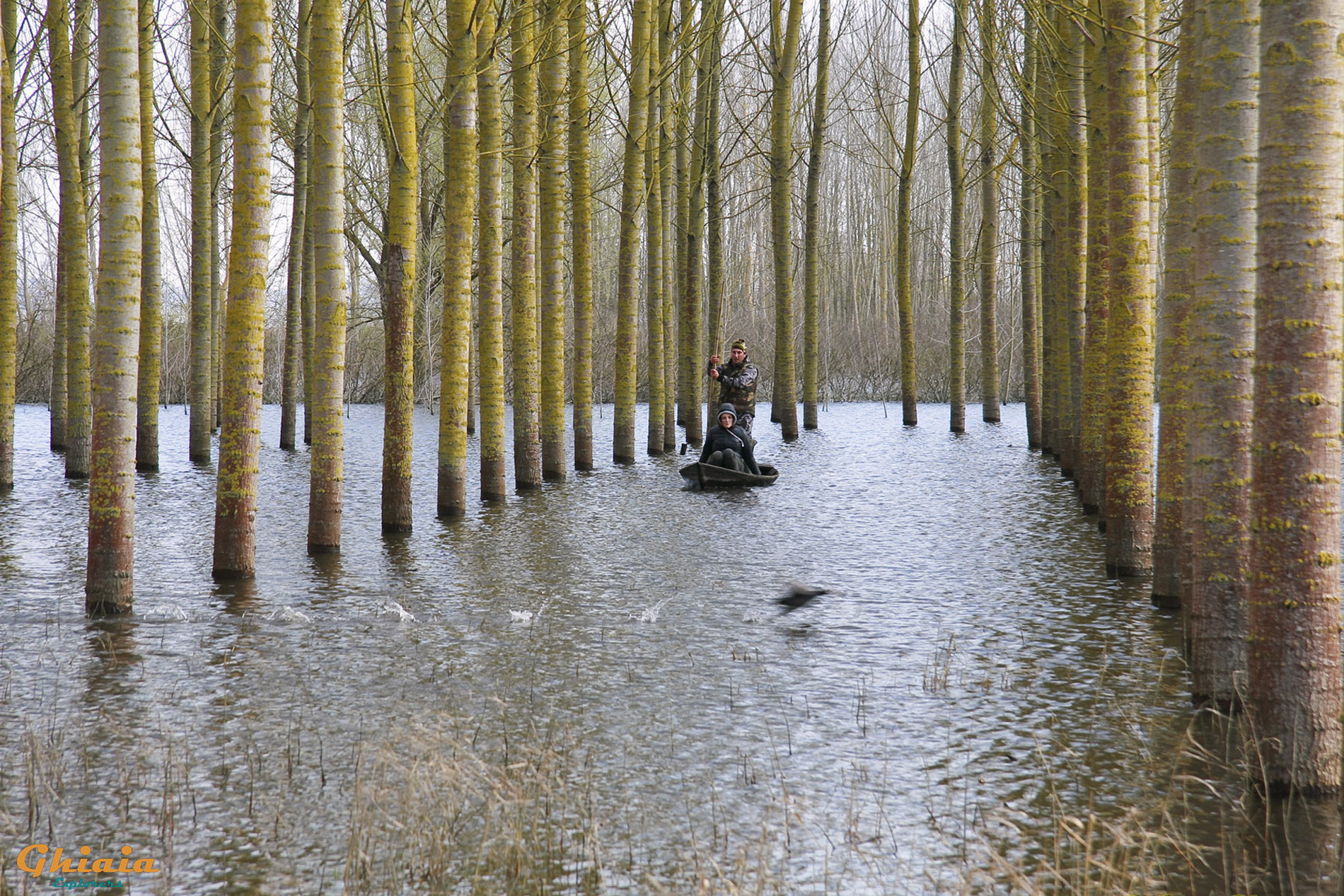 Waterlands Trail - gallery - photo 14