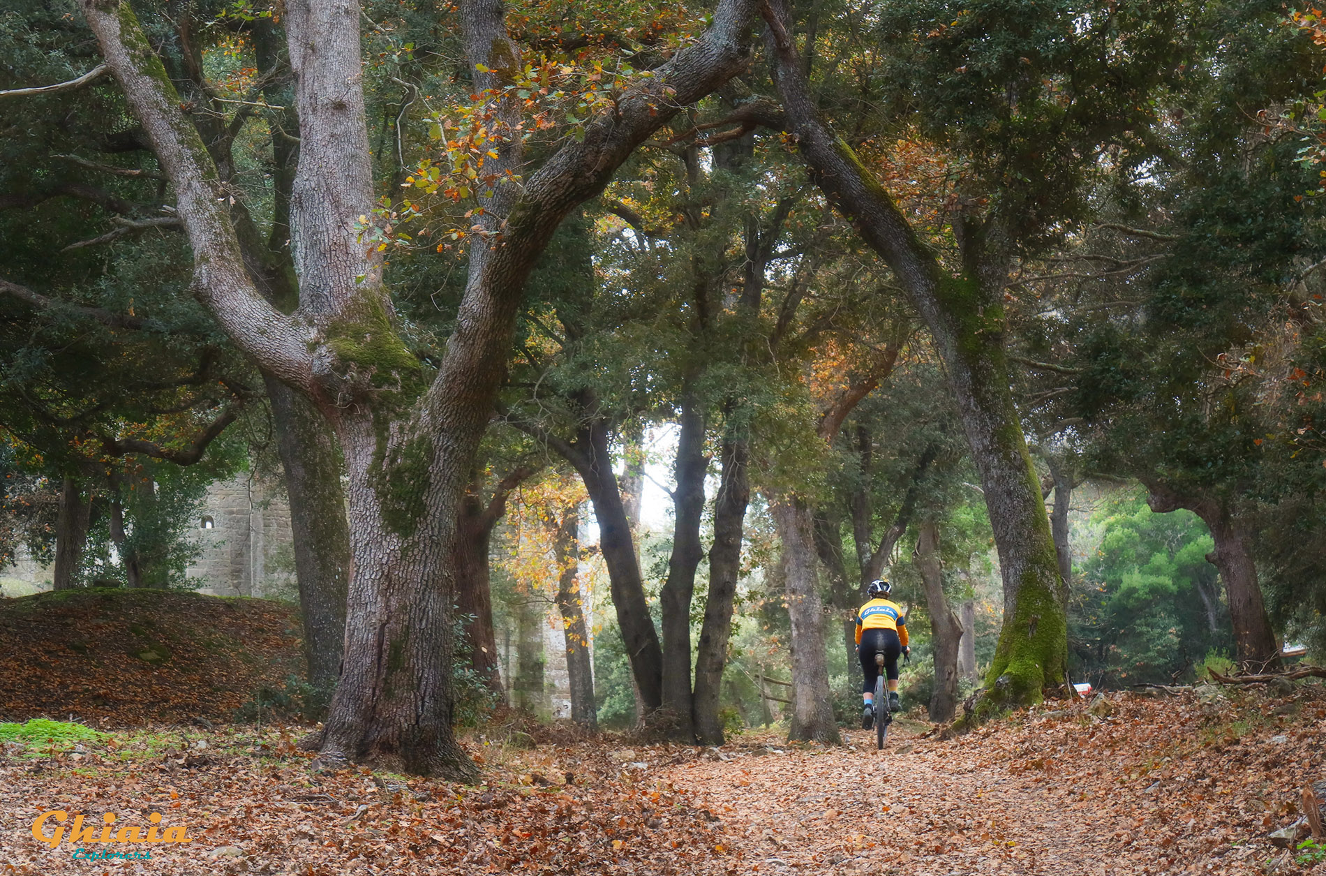 Uccellina Trail - gallery - photo 12