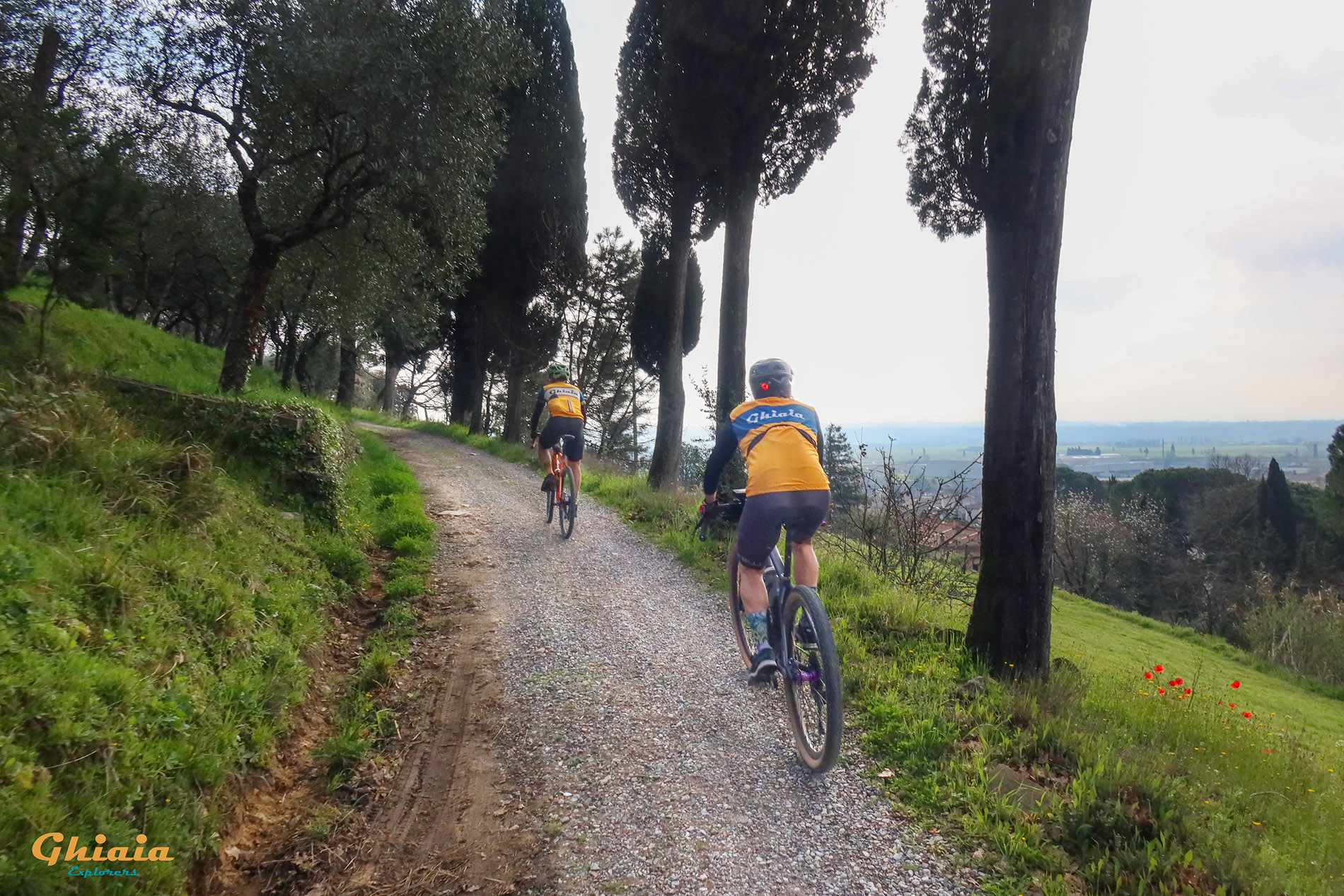 Camelie Trail “Explorer” - gallery - photo 4