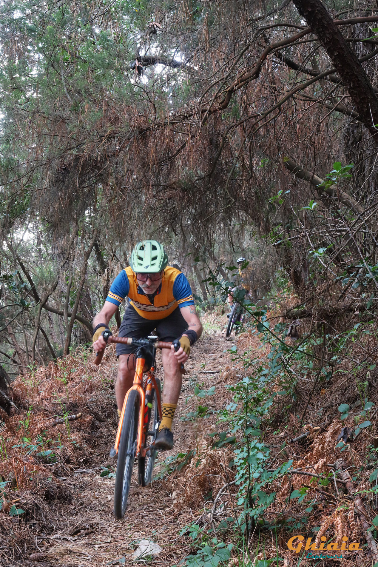 Camelie Trail “Explorer” - gallery - photo 6