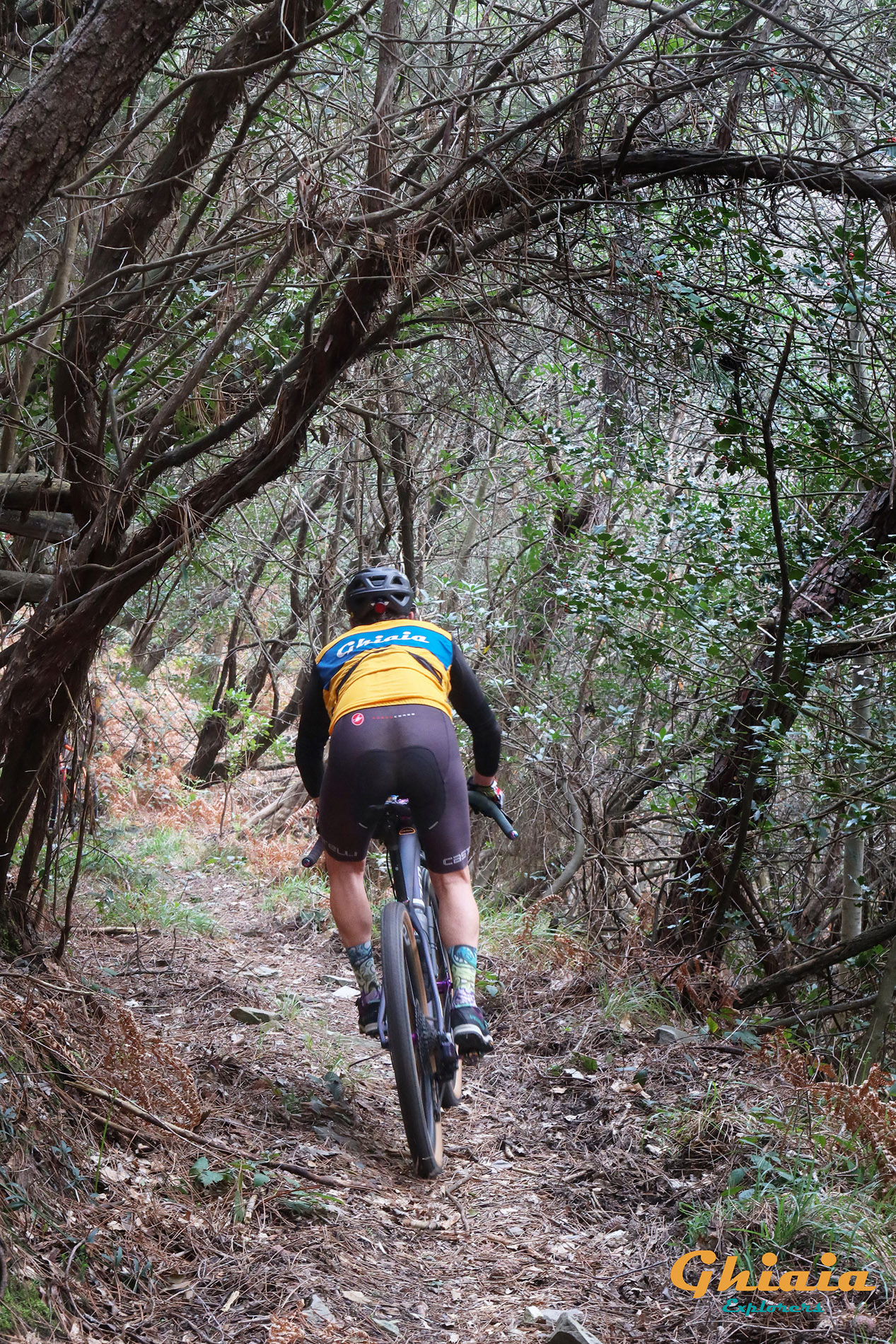 Camelie Trail “Explorer” - gallery - photo 7