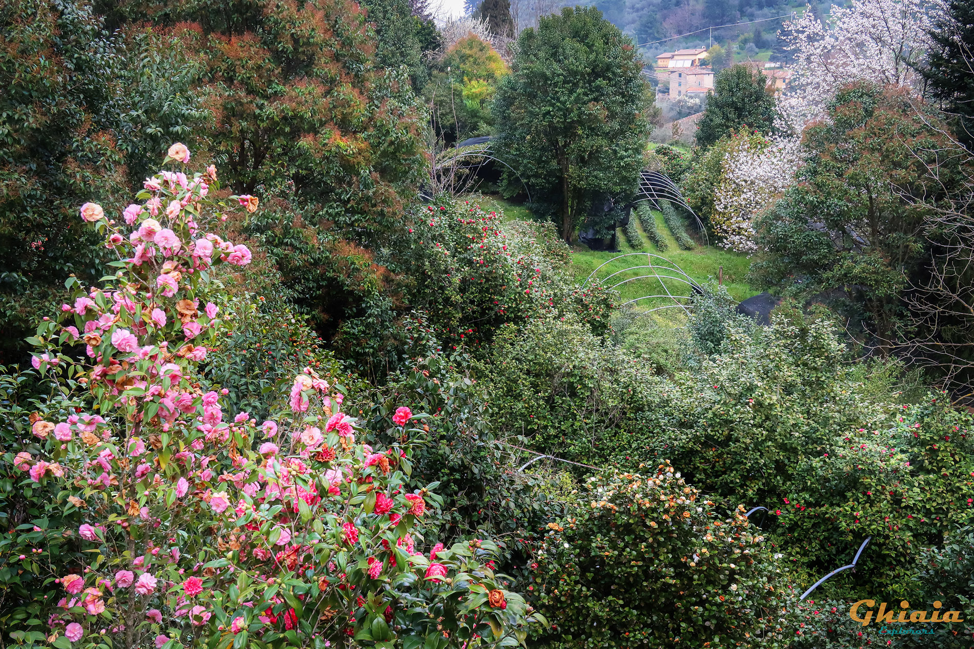 Camelie Trail “Explorer” - gallery - photo 12