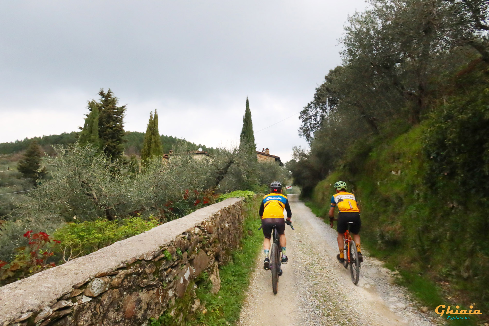 Camelie Trail “Explorer” - gallery - photo 16