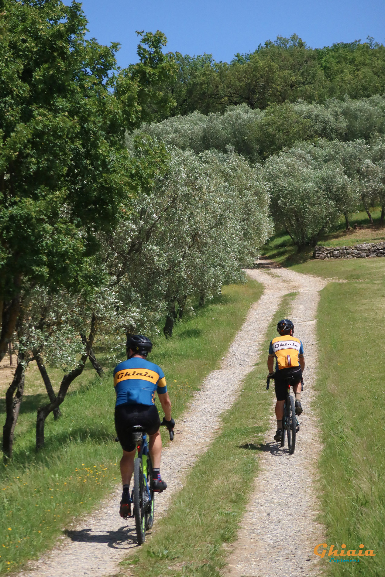 Bartali Trail - gallery - photo 15