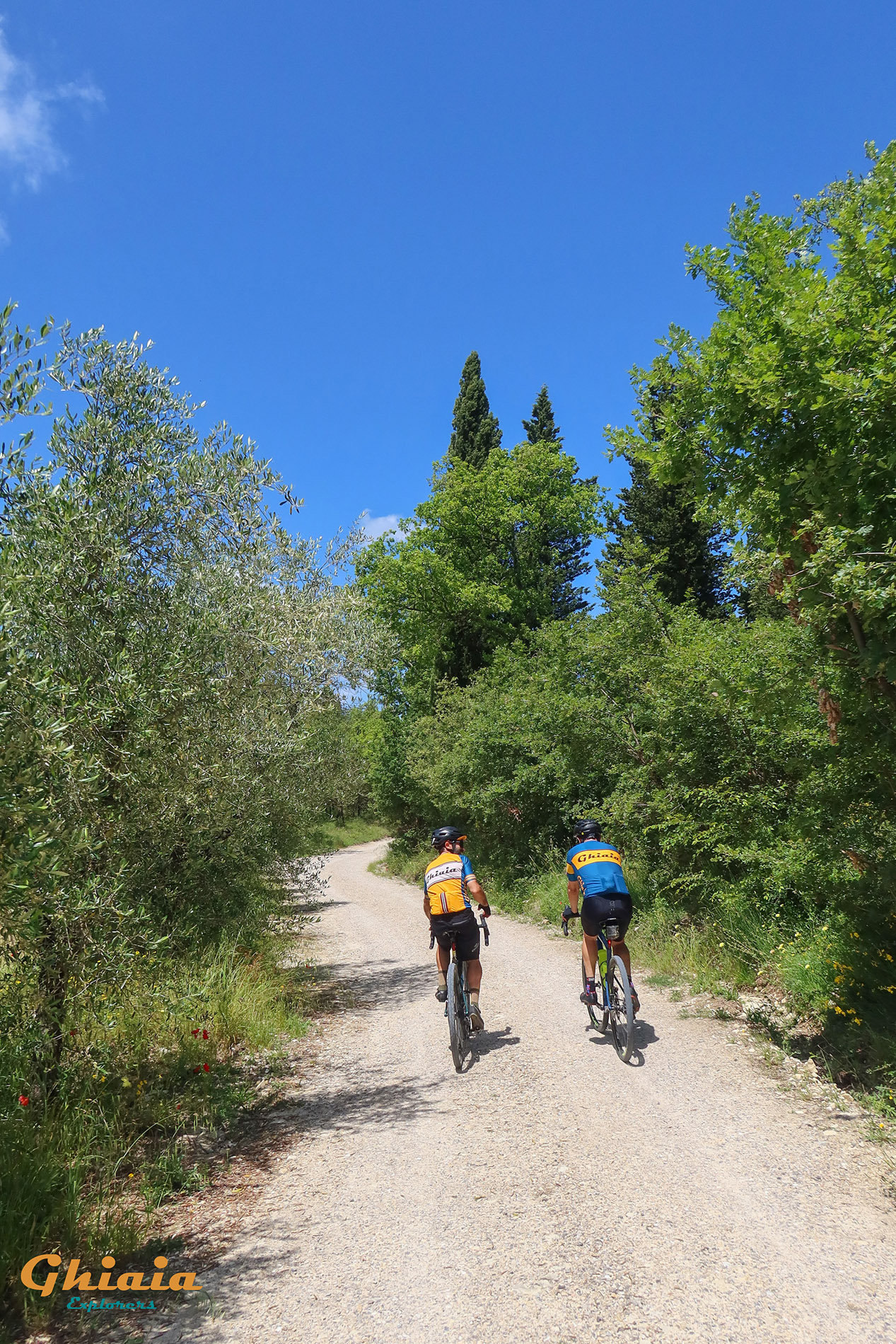 Bartali Trail - gallery - photo 17