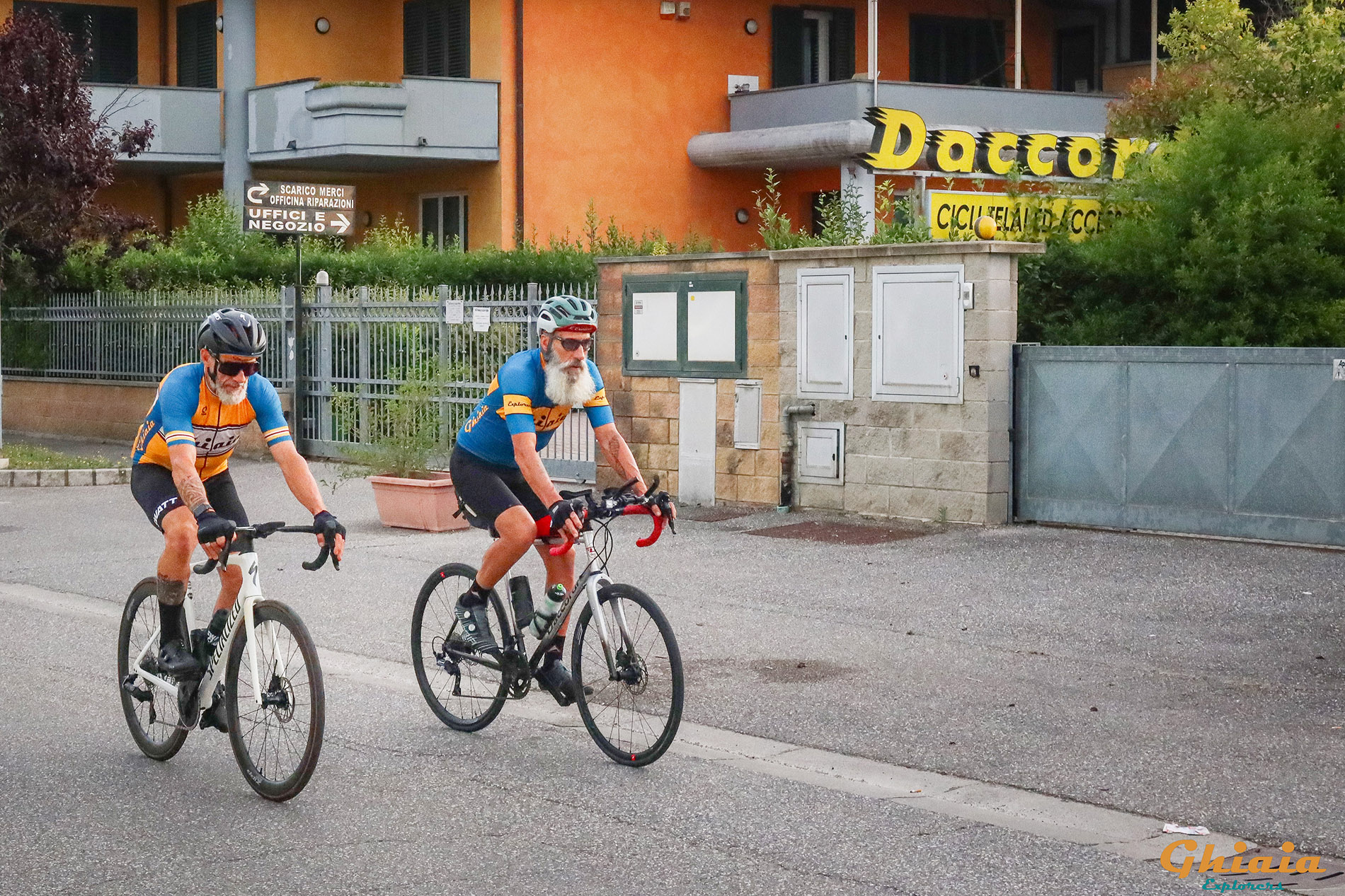 Dynamo Camp Experience - gallery - photo 1