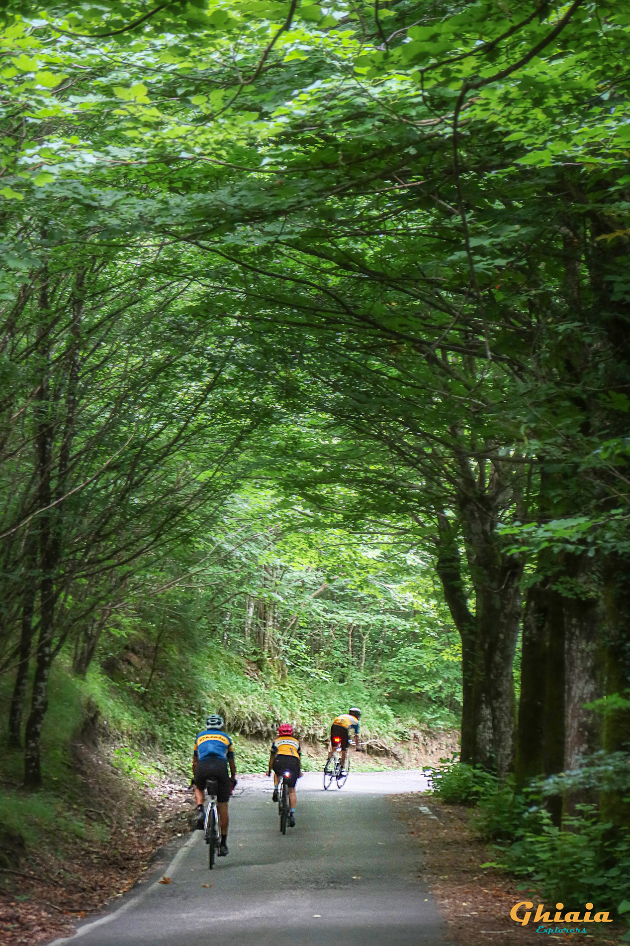 Dynamo Camp Experience - gallery - photo 10