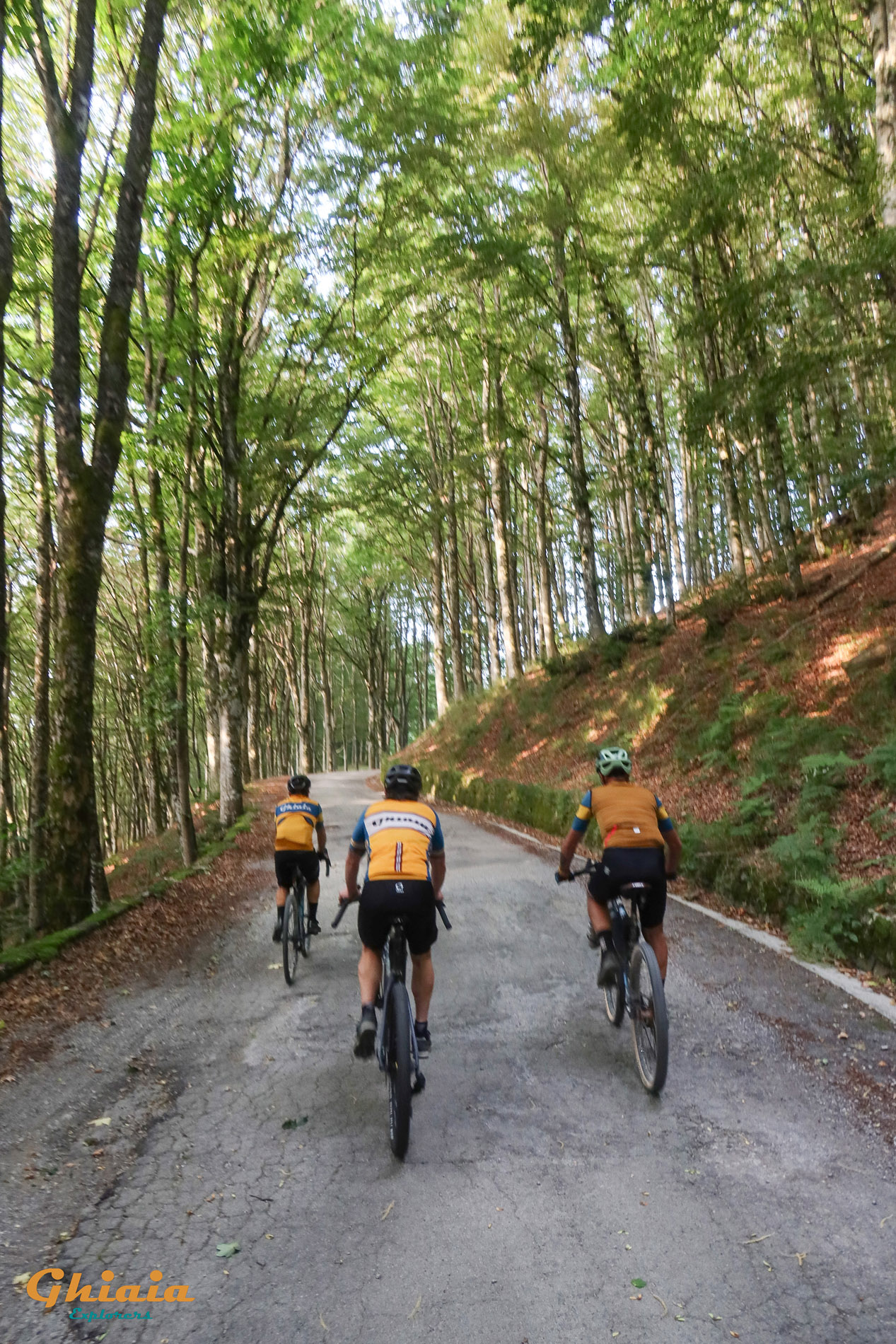 Il Trail dei Due Bacini - gallery - photo 1