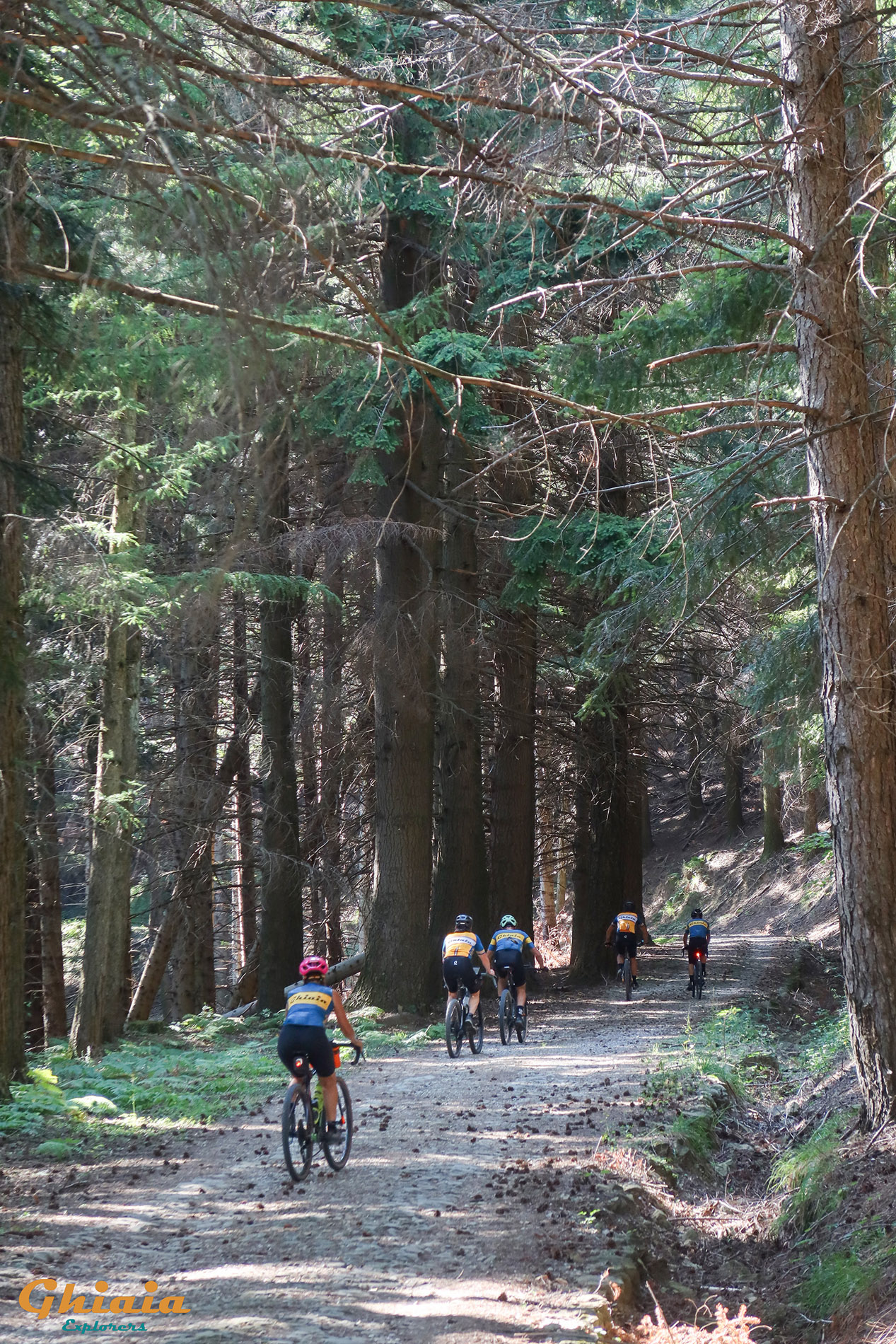 Il Trail dei Due Bacini - gallery - photo 23