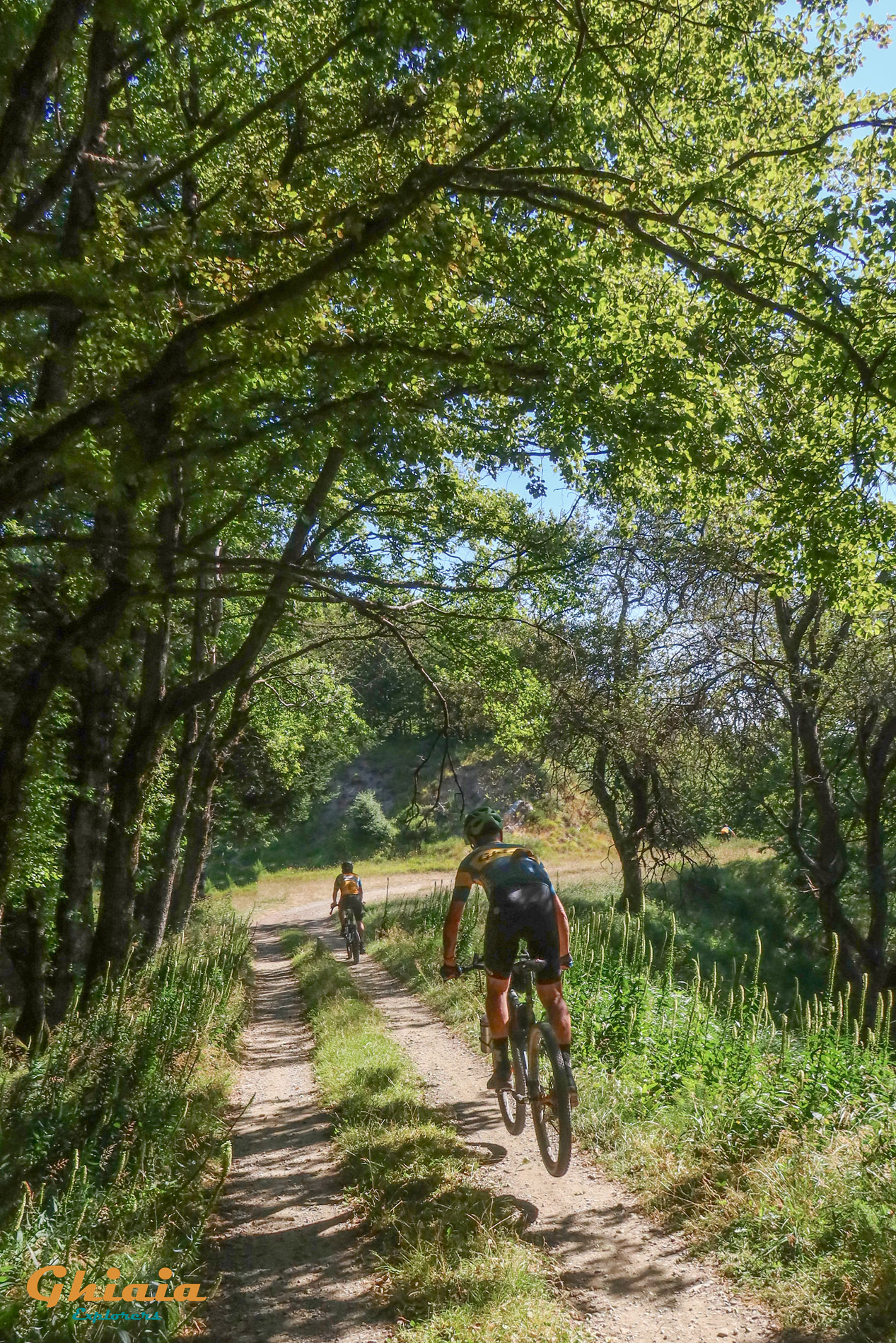 Il Trail dei Due Bacini - gallery - photo 4