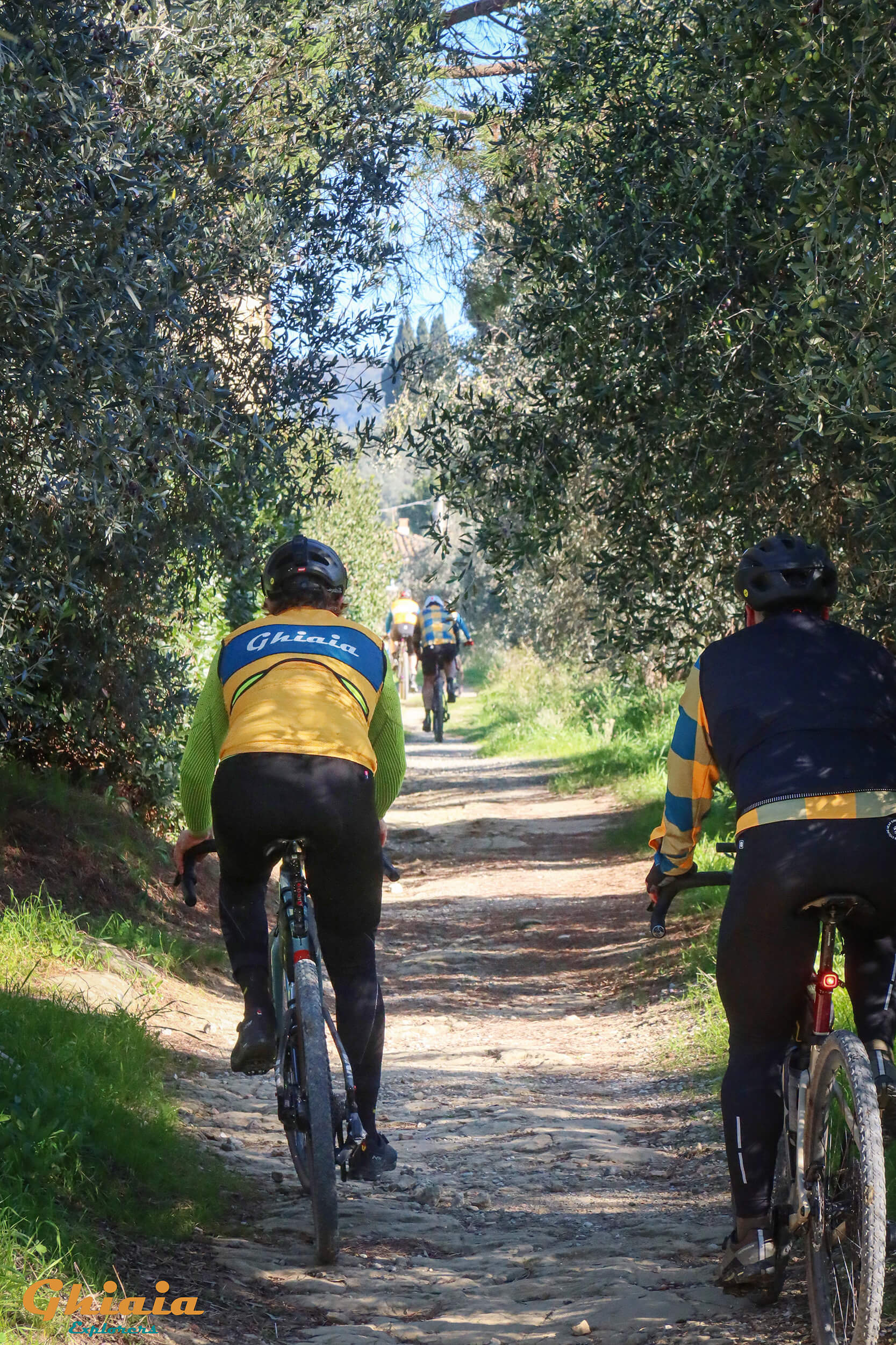 Da Vinci Trail - gallery - photo 9