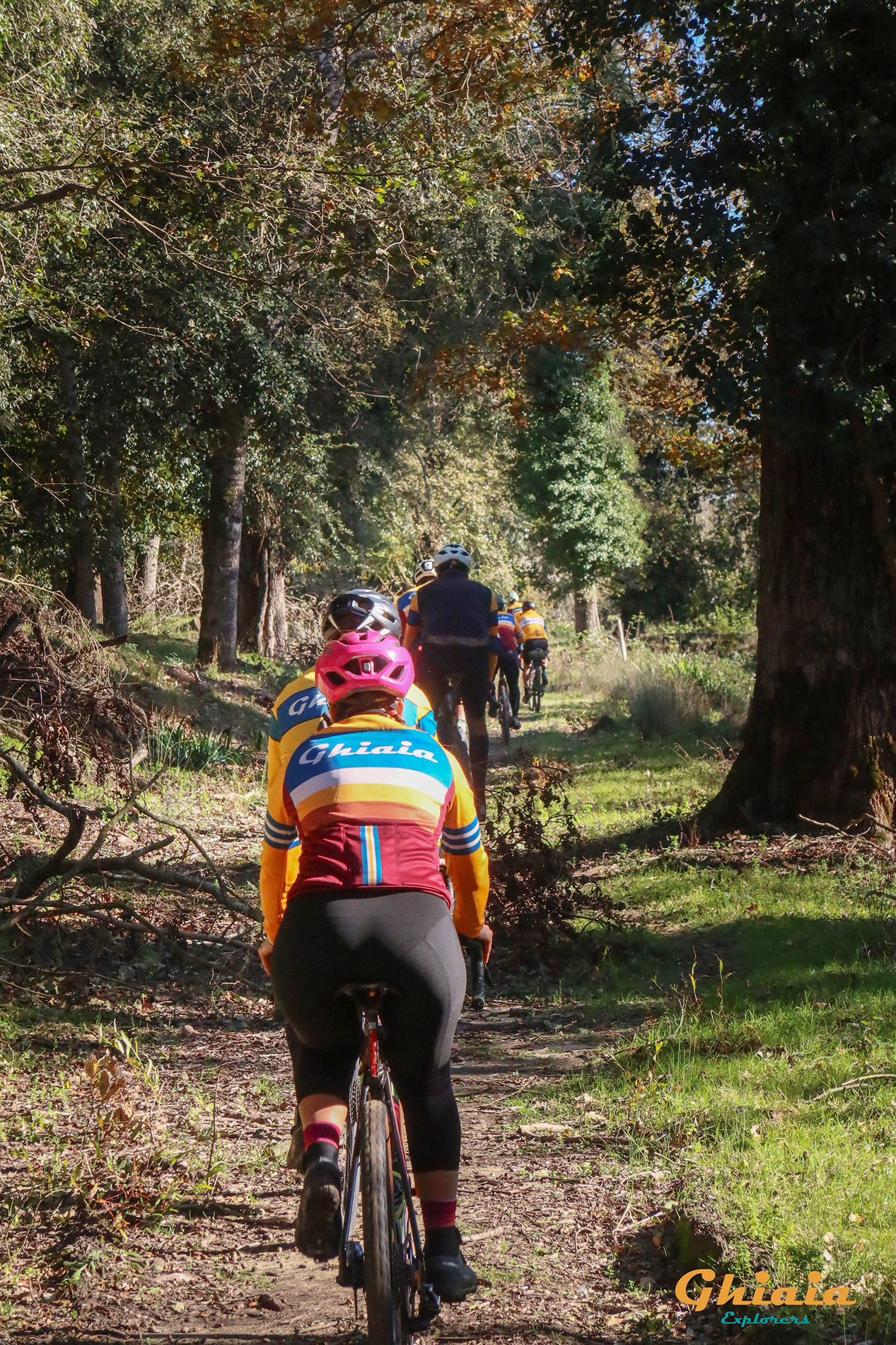 San Rossore Tour - gallery - photo 9