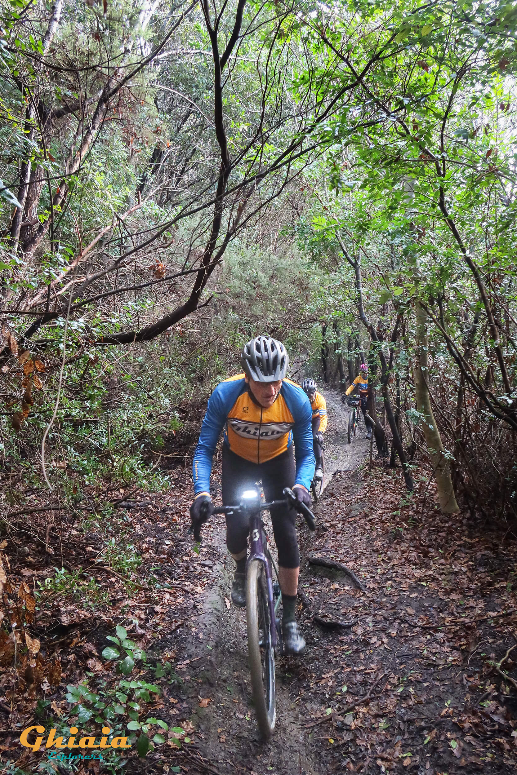 Appendaun Trail - gallery - photo 5