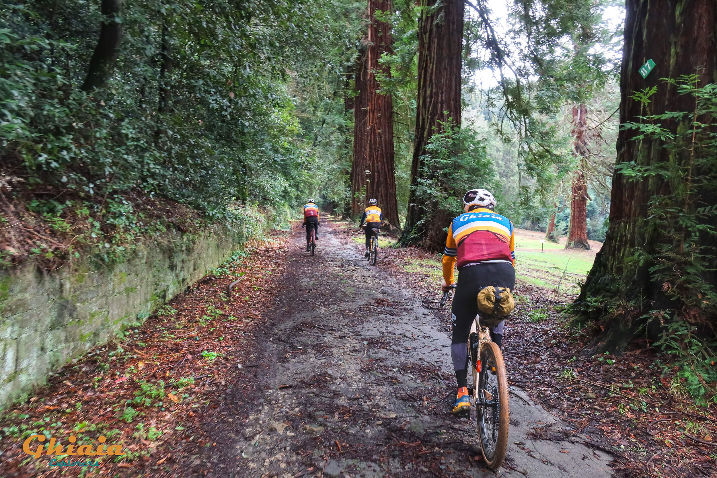 Non Plus Ultra Trail - gallery - photo 6