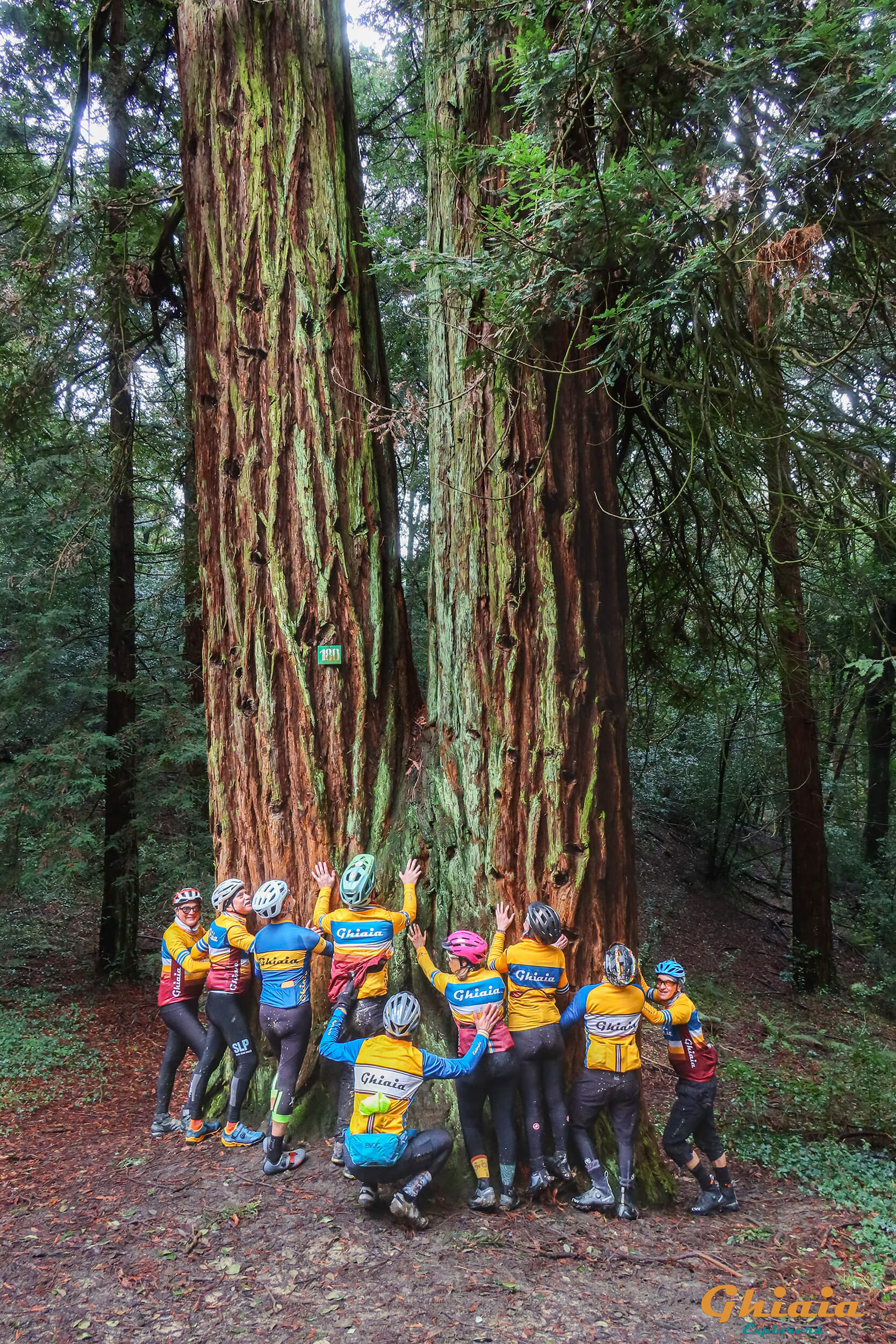 Non Plus Ultra Trail - gallery - photo 12