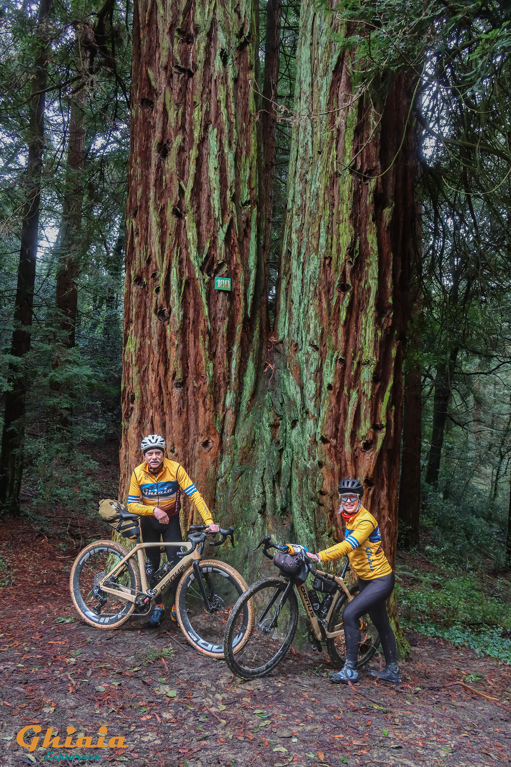 Non Plus Ultra Trail - gallery - photo 13