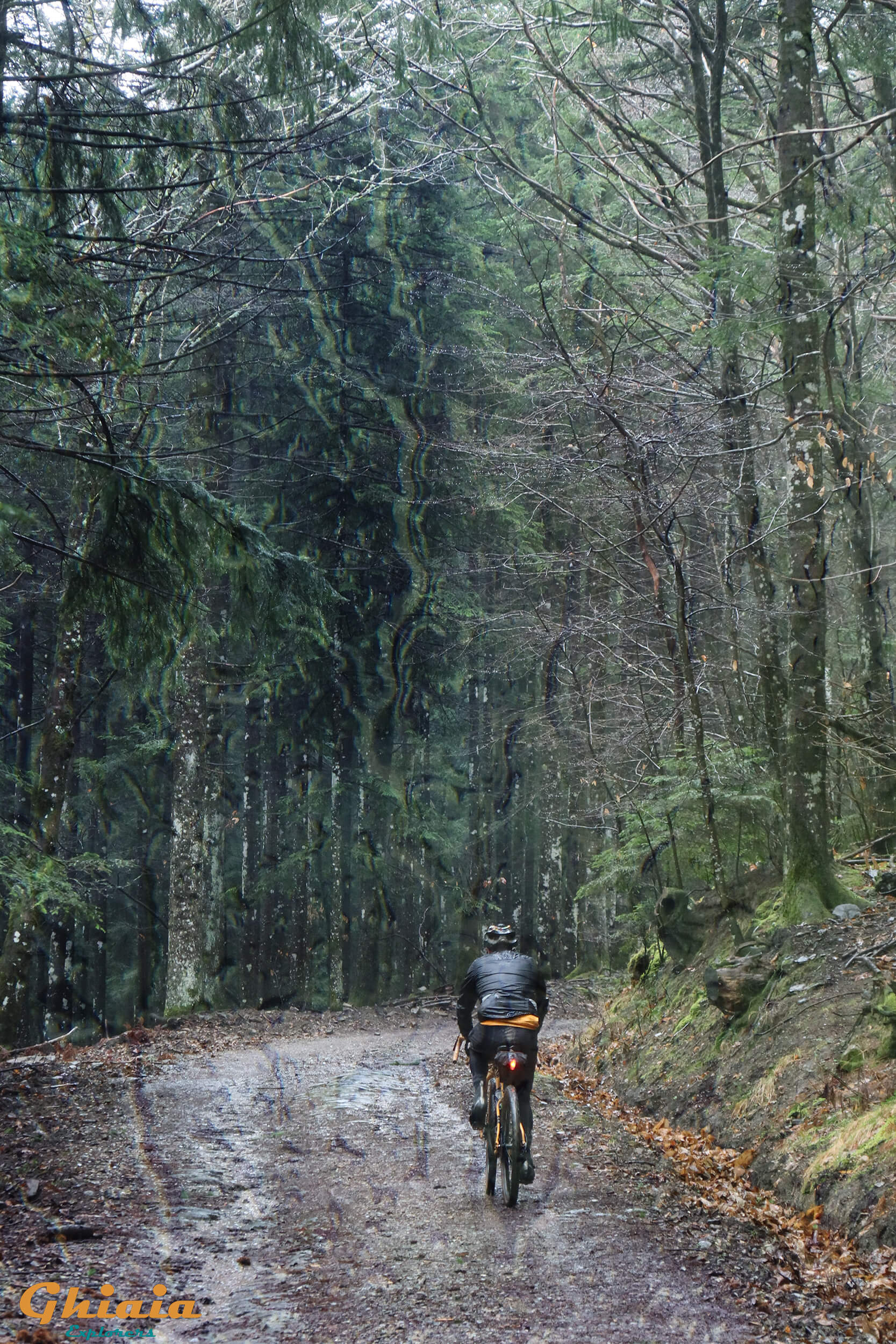 Non Plus Ultra Trail - gallery - photo 21