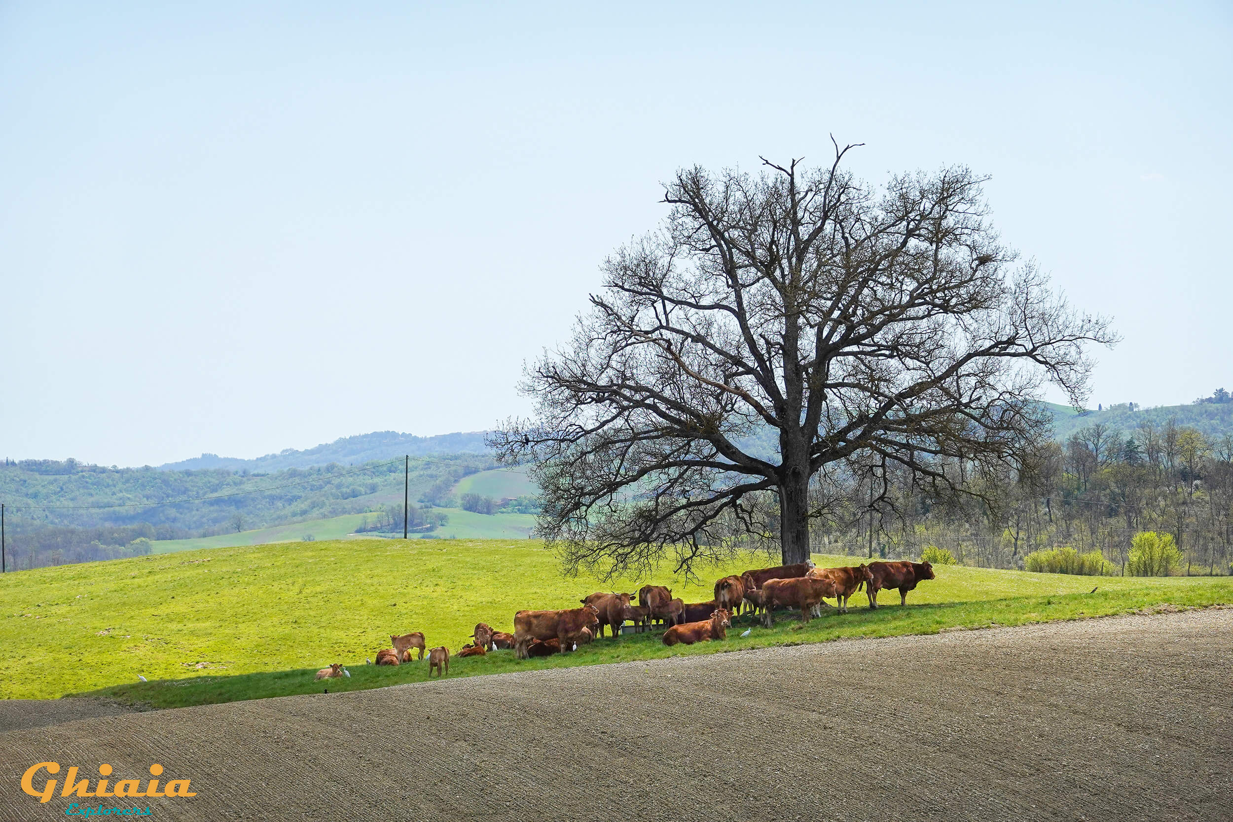 Berignone Wild Trail - gallery - photo 16