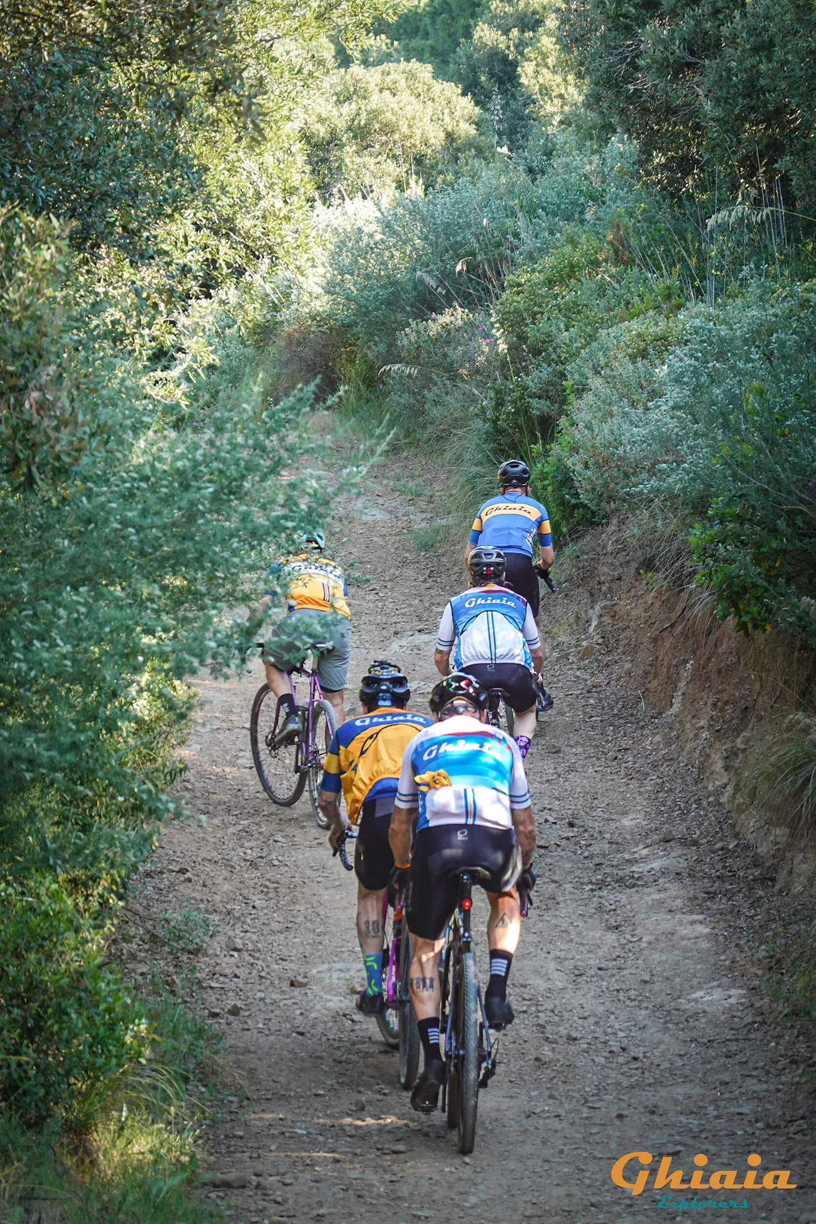 PP express Trail – Da Piombino a Pontedera - gallery - photo 4