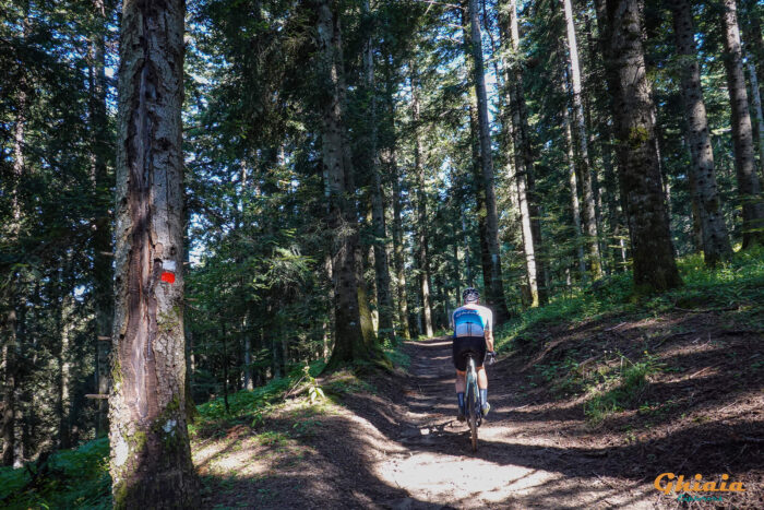 Alla Sorgente dell’Arno Trail