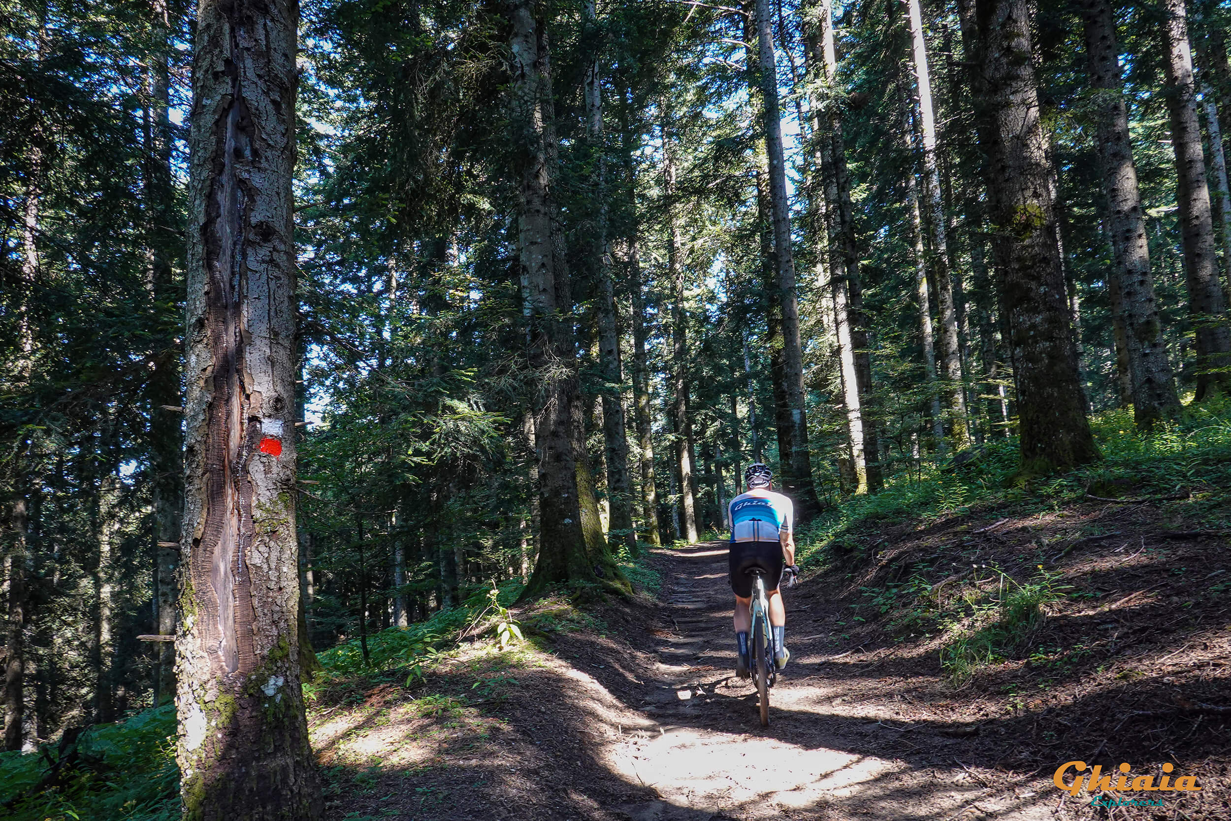 Alla Sorgente dell’Arno Trail