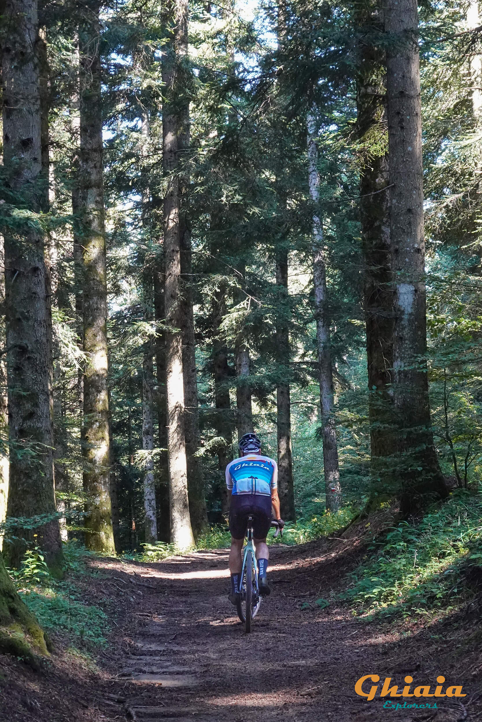 Alla Sorgente dell’Arno Trail - gallery - photo 3