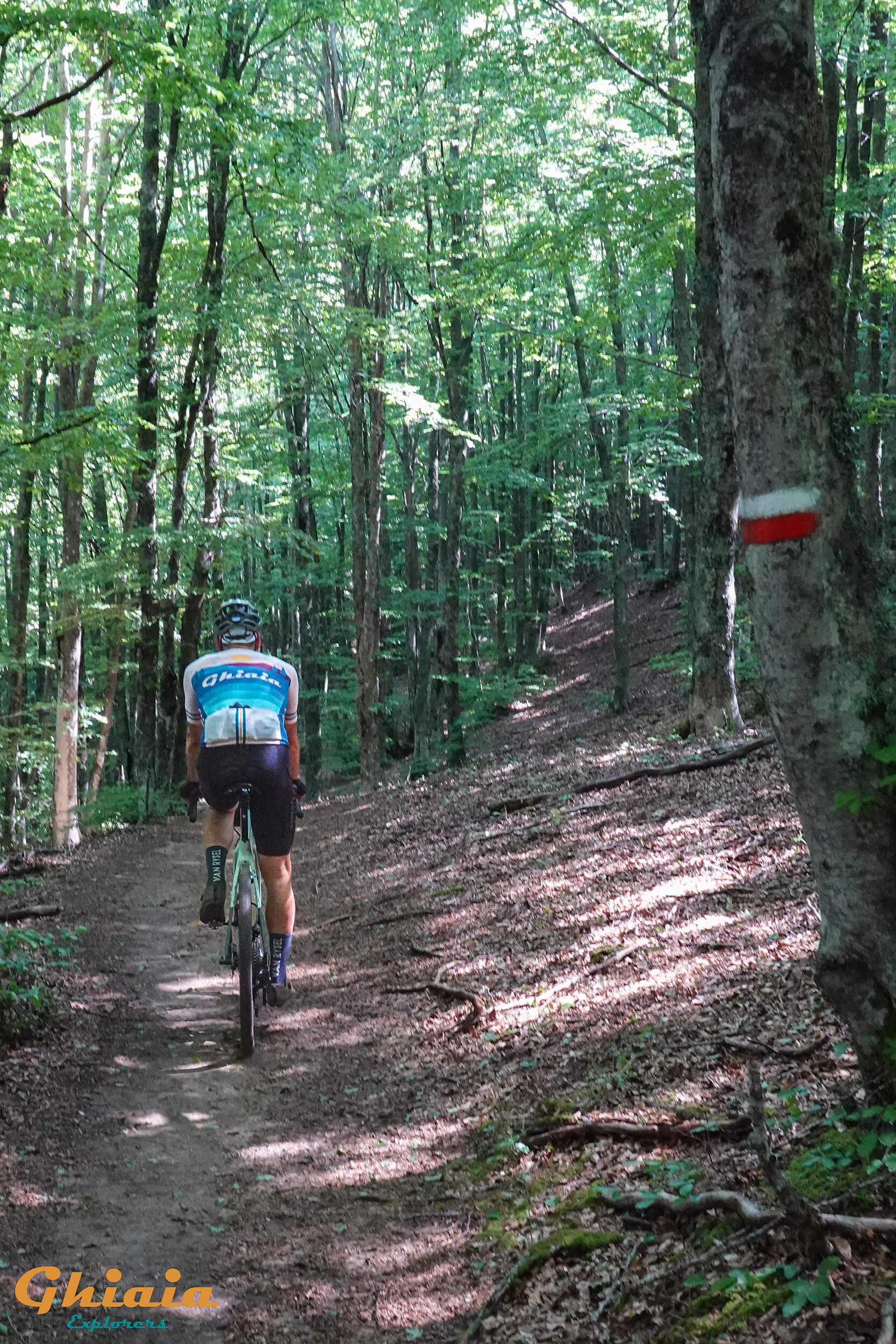 Alla Sorgente dell’Arno Trail - gallery - photo 4