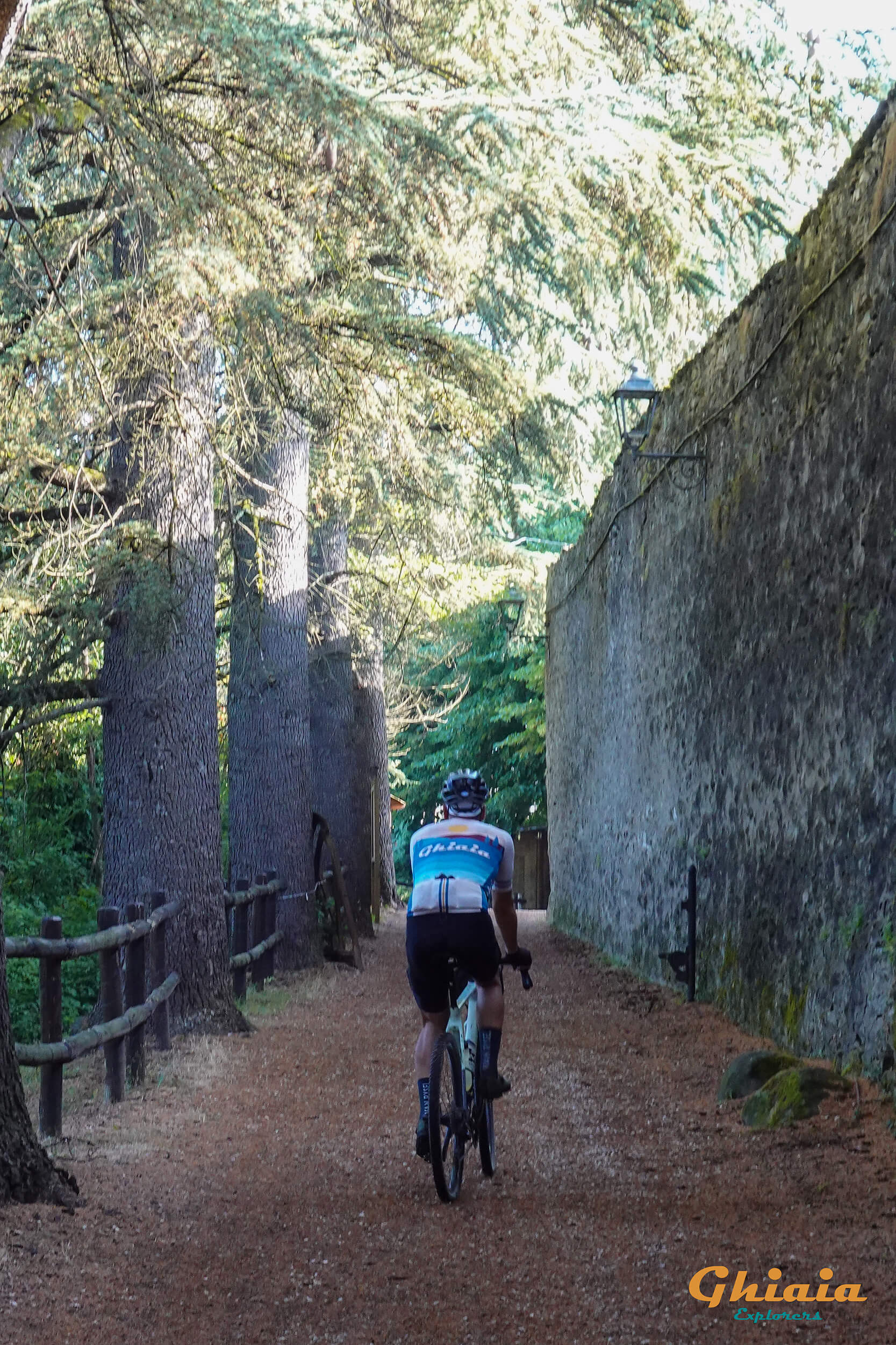Alla Sorgente dell’Arno Trail - gallery - photo 1